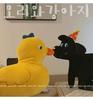 Quirky Black Dog Pillow, Cute Frog Plush, Yellow Duck Cushion for Sofa, Women’s Niche Doll Toy.