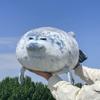 Animal Marine Artificial Seal Plush Toy Cute Cartoon Girl Children Gift Holiday