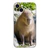 Black tpu Case For Samsung galaxy A3 A5 A7 2016 2017 2018 cover Capybara