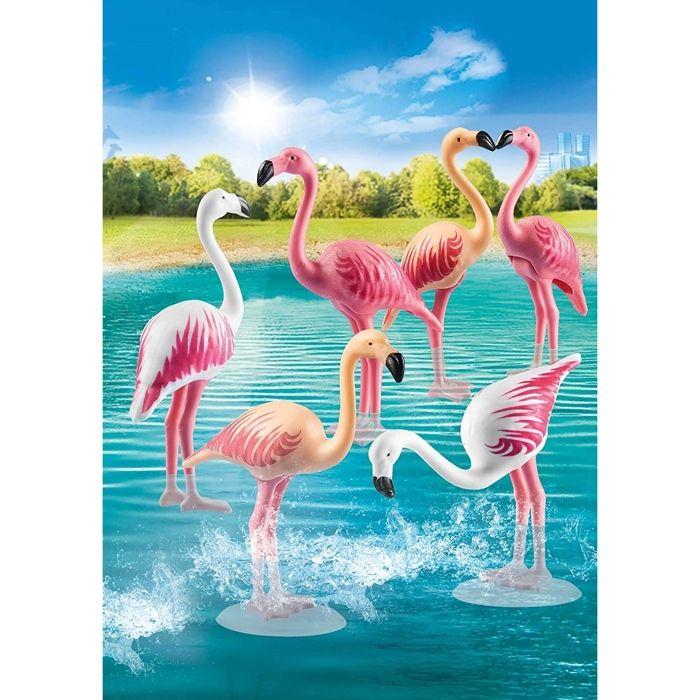 Family Fun - Groupe de flamants roses
