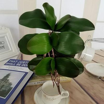 Sztuczny Liść Rośliny Realny Dotyk Orchidea Phalaenopsis Plastikowe Liście Sztuczna Roślina Zielony Liść Dekoracyjna Zielona Roślina Symulacja Liścia