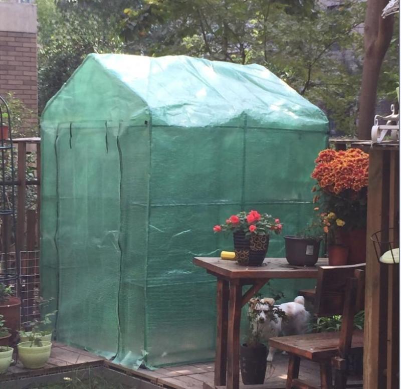 Copertă transparentă PE/PVC izolatoare și rezistentă la ploaie (Fără cadru)