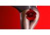 Hua Yu 3D Ultra-thin Seamless Horse Oil Silk Stockings - High-waisted, Plus Size 180 Jin, Unisex and Sexy.