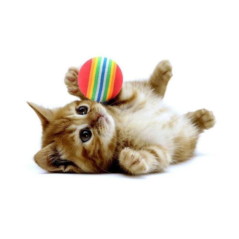 3 Stück /Set Bunte Haustier Katze Kätzchen Weicher Schaumstoff Regenbogen Spielbälle Lustige Aktivitätsspielzeuge