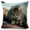 Lustige Süße Katze Kissenbezug Deko Schön Haustier Tierdruck Kissenbezug Polyester Überwurf Kissenbezug für Sofa Zuhause Auto 45x45cm