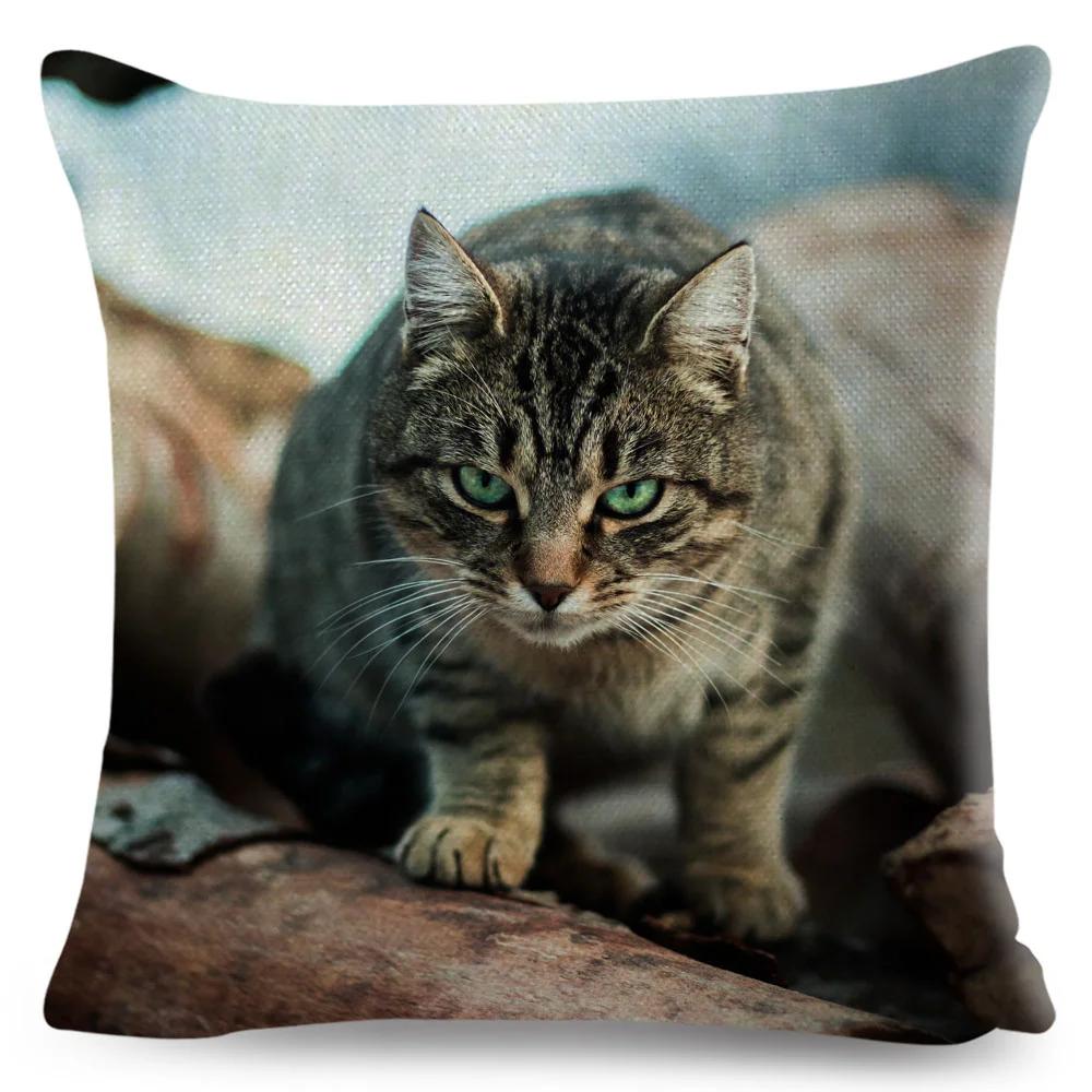 Funny Cute Cat Cushion Cover Decor Lovely Pet Animal Print Pillowcase Polyester Throw Pillow Case for Sofa Home Car 45x45cm