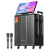 SANSUI Q188 Portable Karaoke Speaker System (CN Version)