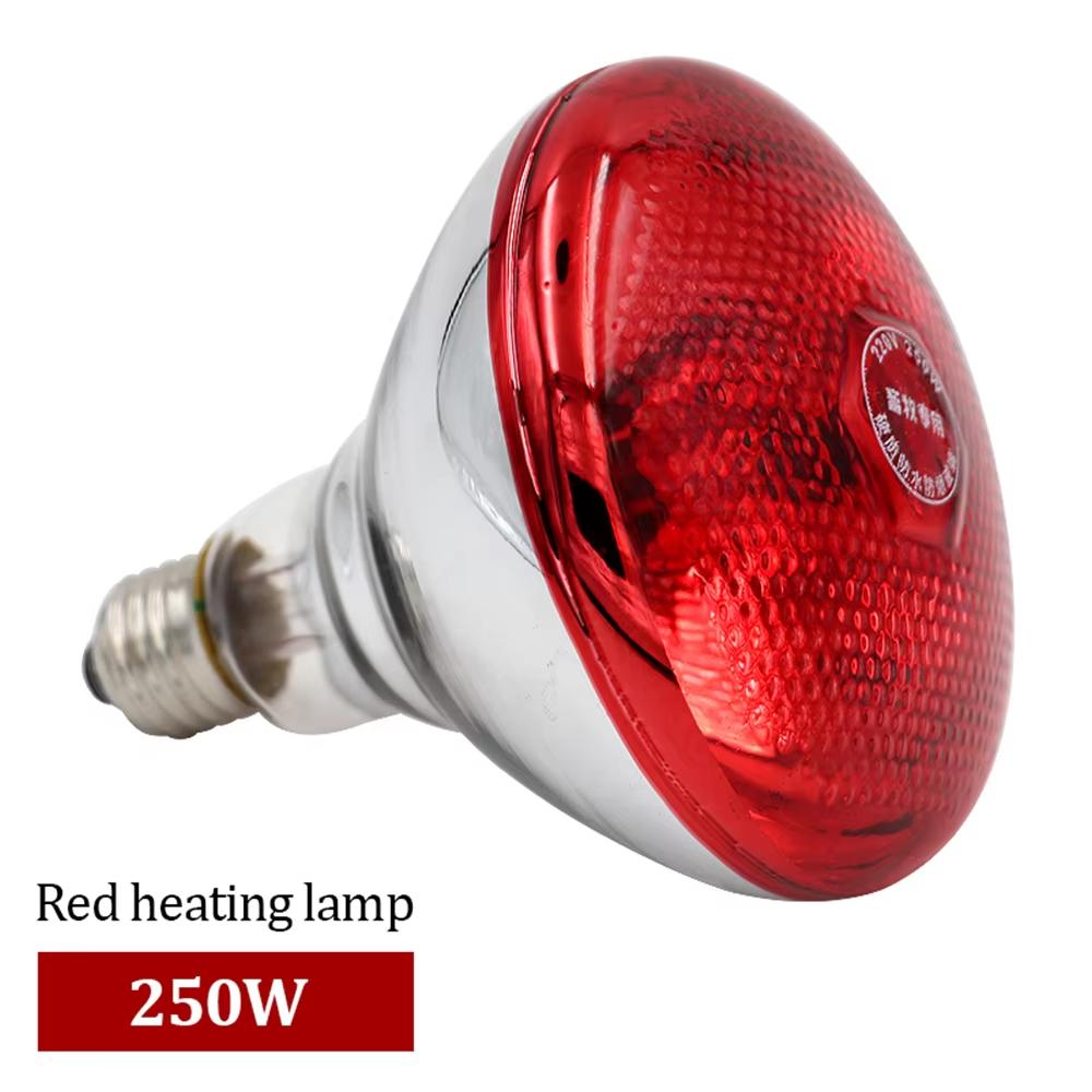New Pet Reptile Heating Lamp Set Illumination E27 Heating Lamp Bracket Pet Light Bulb Bracket Lampshade Emission Lamps 220-240V