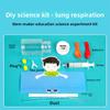Kids Diy Physiology Model Of Lung Movement For Science Education And Handson Learning