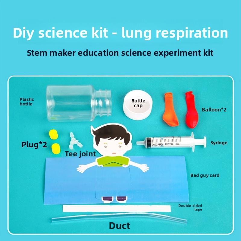 Kids Diy Physiology Model Of Lung Movement For Science Education And Handson Learning