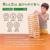 Karakaratsumiki Bausteine Holz Made Japan 240 Teile 100 Präfektur Miyazaki Zeder Unbemalt Pädagogisches Spielzeug Montessori 4 Jahre Geschenk