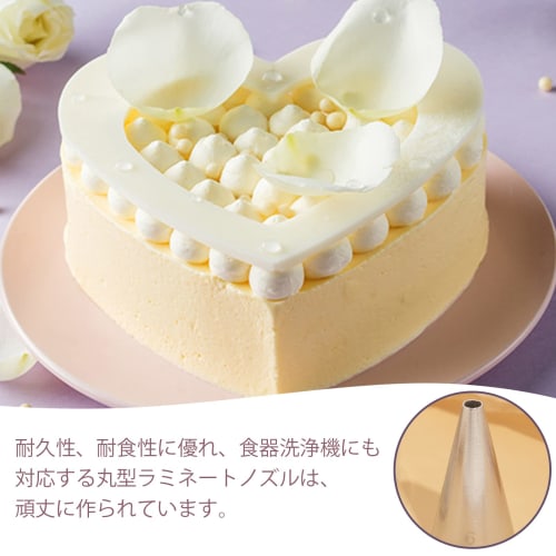 Set of 12 Stainless Steel Round Piping Tips for Cake, Cookie, and Small Mont Blanc Decorations (Silver Round Tips)