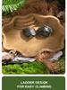 Turtle Climbing & Bathing Habitat with Moisturizing Features and Decorative Landscaping