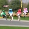 M-1 piece of realistic feathered bird, colorful foam bird, for garden and landscape decoration, craftwork.