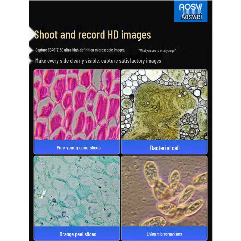 AOSVI Research-Grade Biological Microscope
