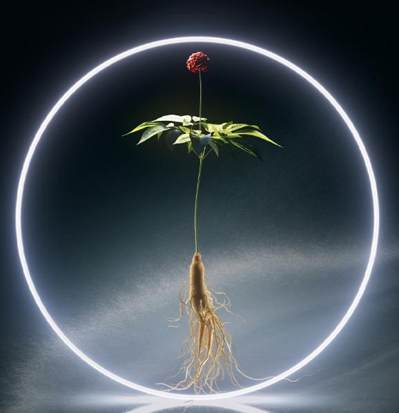 Sulwhasoo Concentrated Ginseng Renewing Serum EX 30ml / 50ml – Premium Lifting & Anti-Aging Care