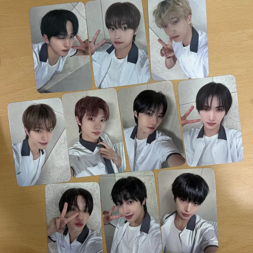 XIKERS Dima Mew dearmymuse POB photocard set