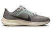 Nike Air Zoom Pegasus 40 Light Iron Ore Mica Green FN7498-012