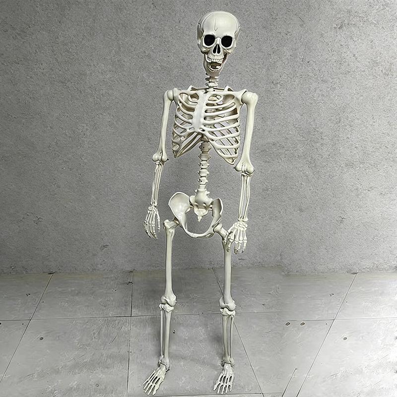 Esqueleto Humano Halloween Realista Articulado Cuerpo Completo Calavera Huesos Decoración Aterradora para Casa Embrujada Fiesta Interior Exterior Exhibición