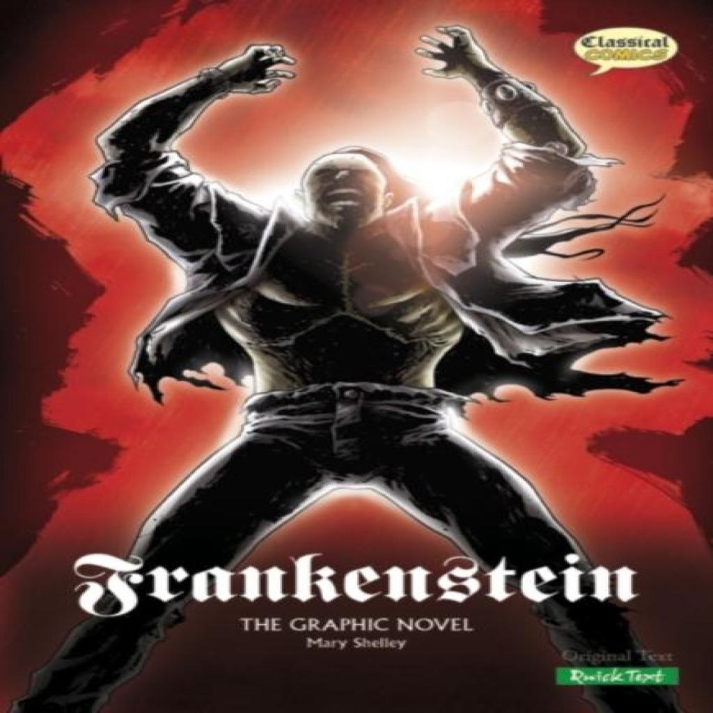 Frankenstein The Graphic Novel by Mary Shelley Paperback Book 9781906332167