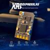 RADIOMASTER XR1 Nano ExpressLRS 900MHz Receiver