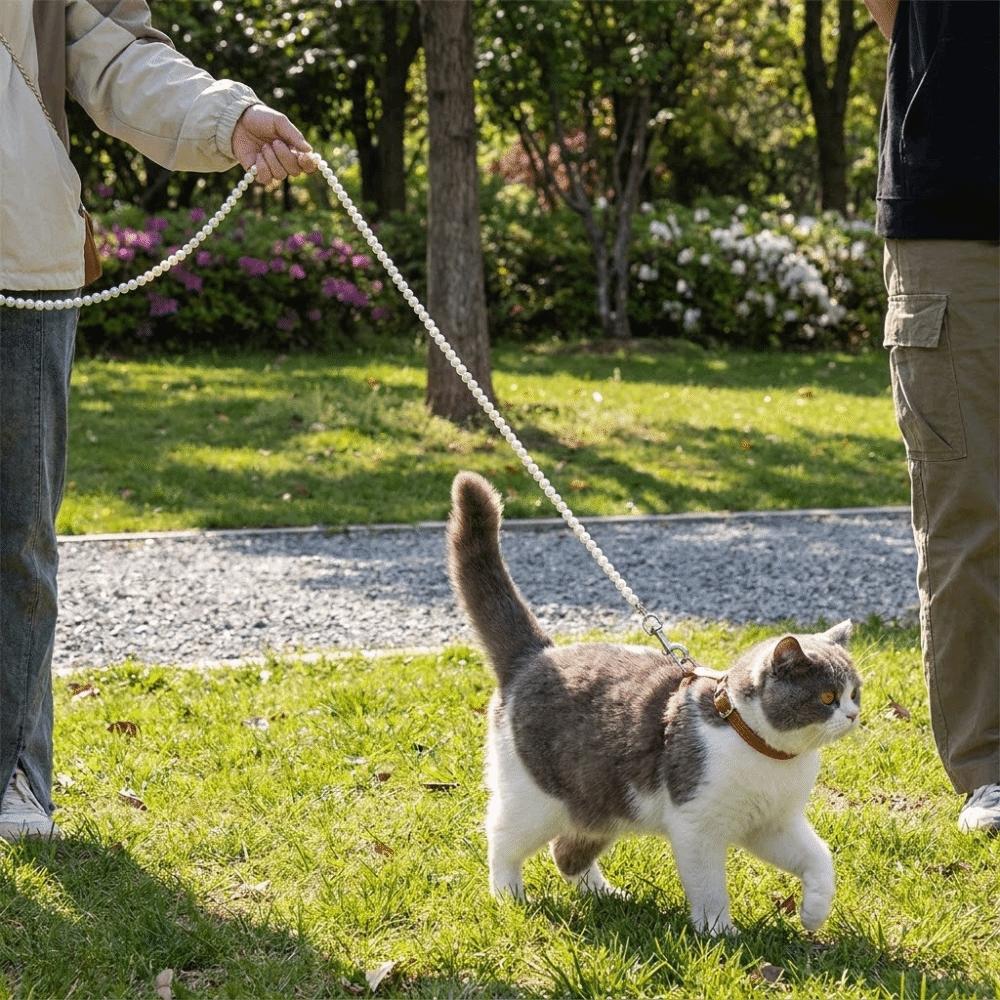 Bite Resistant Beaded Dog Leash Artificial Pearl Anti-Escape Dog Lead Leash Decorative Solid Color Pet Traction Rope