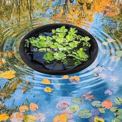 Schwimmnetz für Wasserpflanzen zur Sämlingsschonung