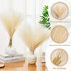 24PCS Brown Faux Pampas Grass White, 56cm Short Artificial Pompous Grass Floral Fake Pompas Grass Branches Vase Filler