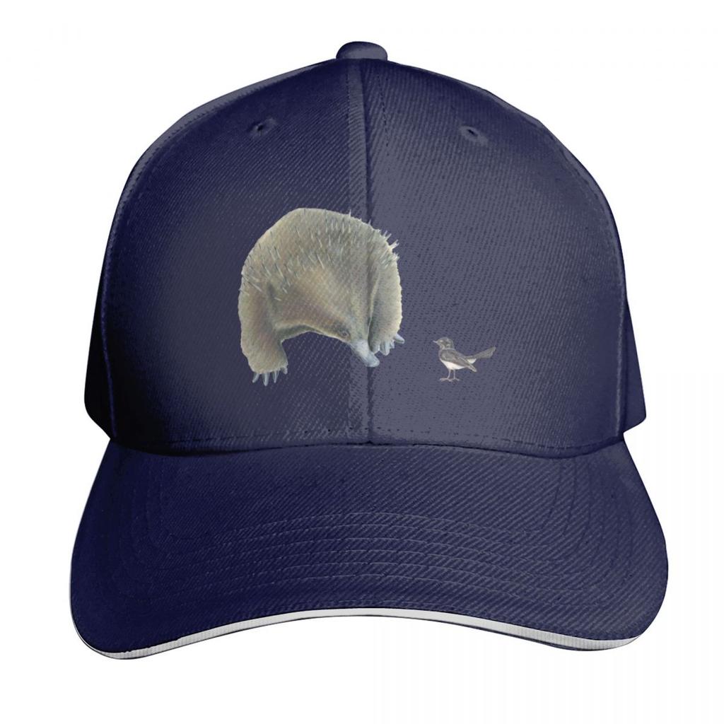 Echidna and Willie Wagtail Baseball Cap Hat Beach Designer Cap Hip Hop Unisexs Big Size Hat Unisex Luxury Brand Womens