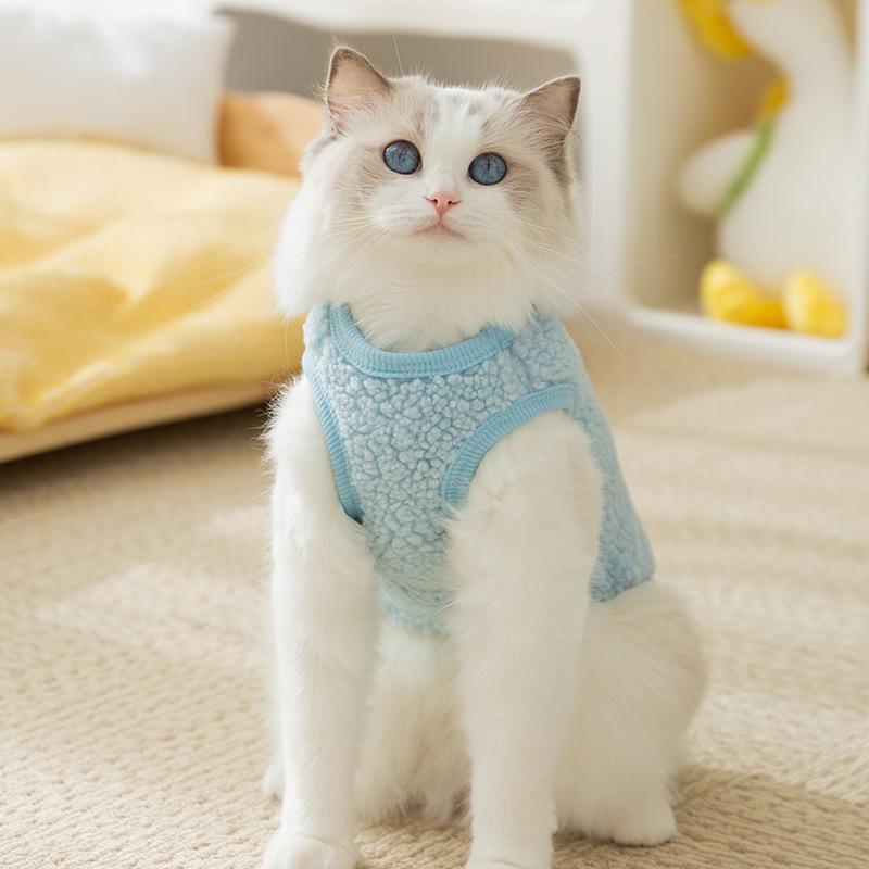 Cat Clothes Autumn and Winter Cute Small Animal Warm Fleece Small Dog Kitten Dog Bipedal Pet Cat Clothing