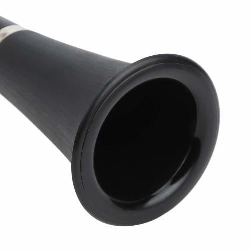 17-Key B-Flat Clarinet Set for Students and Professionals, Includes BB Cleaning, Cross Reeds, and Driver Box (Black)