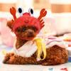 Cute Crab Frog Pet Hat, Puppy Dress Up Costume, Christmas Cosplay, Warm Headwear, Dogs Hats, Lovely Style