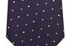 Paul Smith Brand Name Tie Dot Pattern Tie, (8cm Wide) (Purple Navy/Blue (PS72)) [Used]