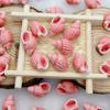 10Pcs Fresh Color Conch Shell Bead Handmade Craft Jewelry Making Material  Women