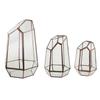 Irregular Transparent Geometric Terrarium Box Crop Planting