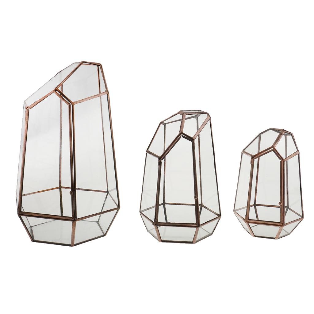 Irregular Transparent Geometric Terrarium Box Crop Planting