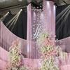 Romantic Wedding Backdrop Curtains In Various Colors