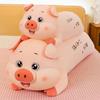Cute Pig Plush Toy Pillow With Embroidery Design For Kids And Teens