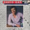 LP Record DAVID GATES Take Me Now AL9563 ARISTA 1981 US Pop