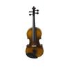 IRIN EQ Electric Smart Violin 4/4 Full Size Acoustic with Case Bow Strings Shoulder Rest Solid Wood Violin For Beginner Students