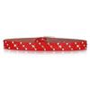 Accessoires – Riemen voor dames