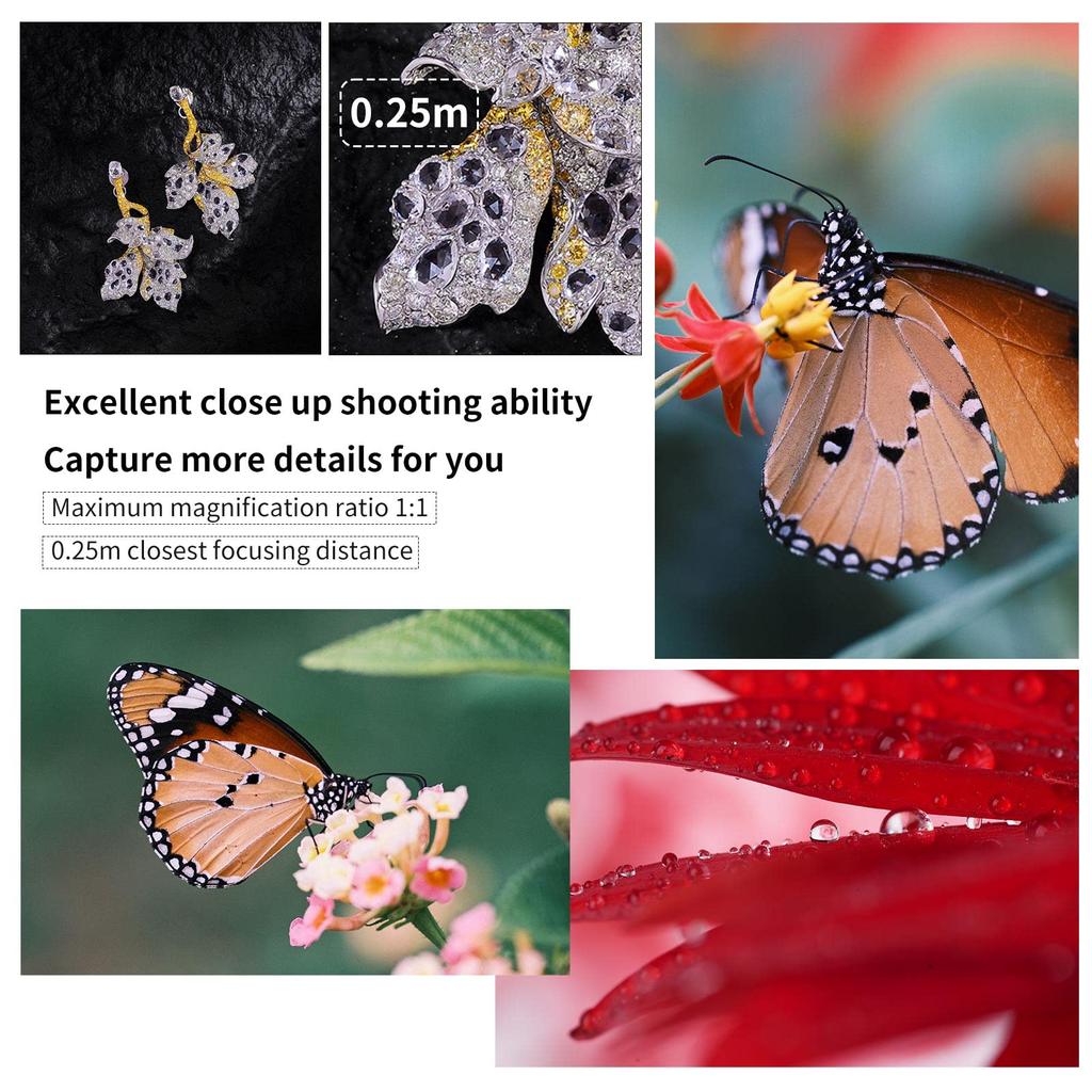 AstrHori 85mm Macro Tilt Black Rock Star F2.8 11 E-Mount [2-Year Warranty]