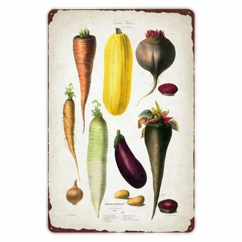 Retro Vegetable Plants Poster Vintage Fruits Metal Tin Sign Cauliflower Wall Art Sign Garden Kitchen Farm Flowers Plate Decor