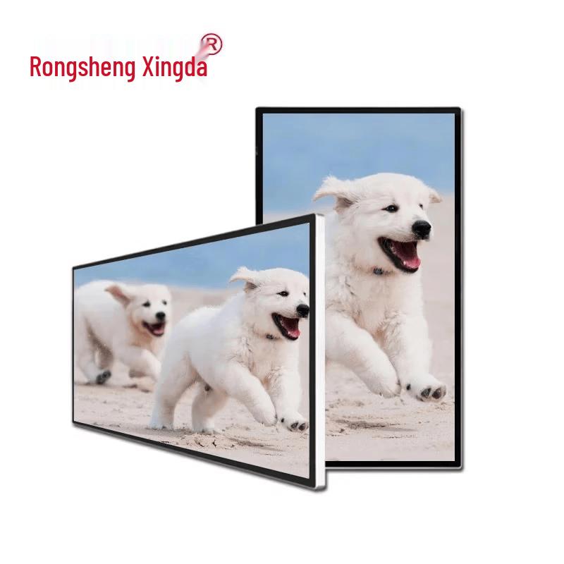 Rong Sheng Xing Da 55-inch Wall-Mounted Infrared Touch Kiosk CN Plug (adapter Included)