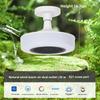 Dual Mode Fan Light with Cold and Warm Air Low-noise Fan Light for Bedroom Living Room Kid Room Study Available All Year Round