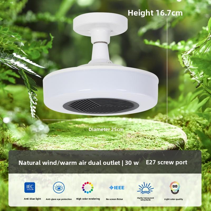 Dual Mode Fan Light with Cold and Warm Air Low-noise Fan Light for Bedroom Living Room Kid Room Study Available All Year Round