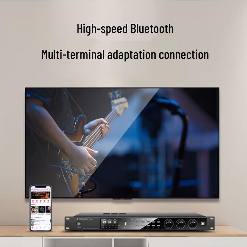 SANSUI DSP1 Professional Anti-Howling Audio Processor CN plug (adapter included)