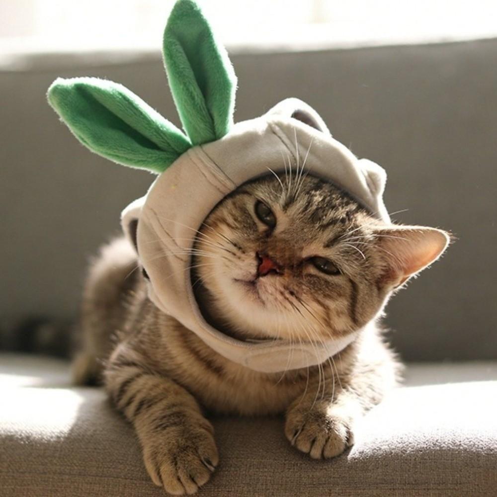 Funny Pet Garlic Hat Cartoon Dog Headdress Pet Costume Pet Headgear  Birthday Party
