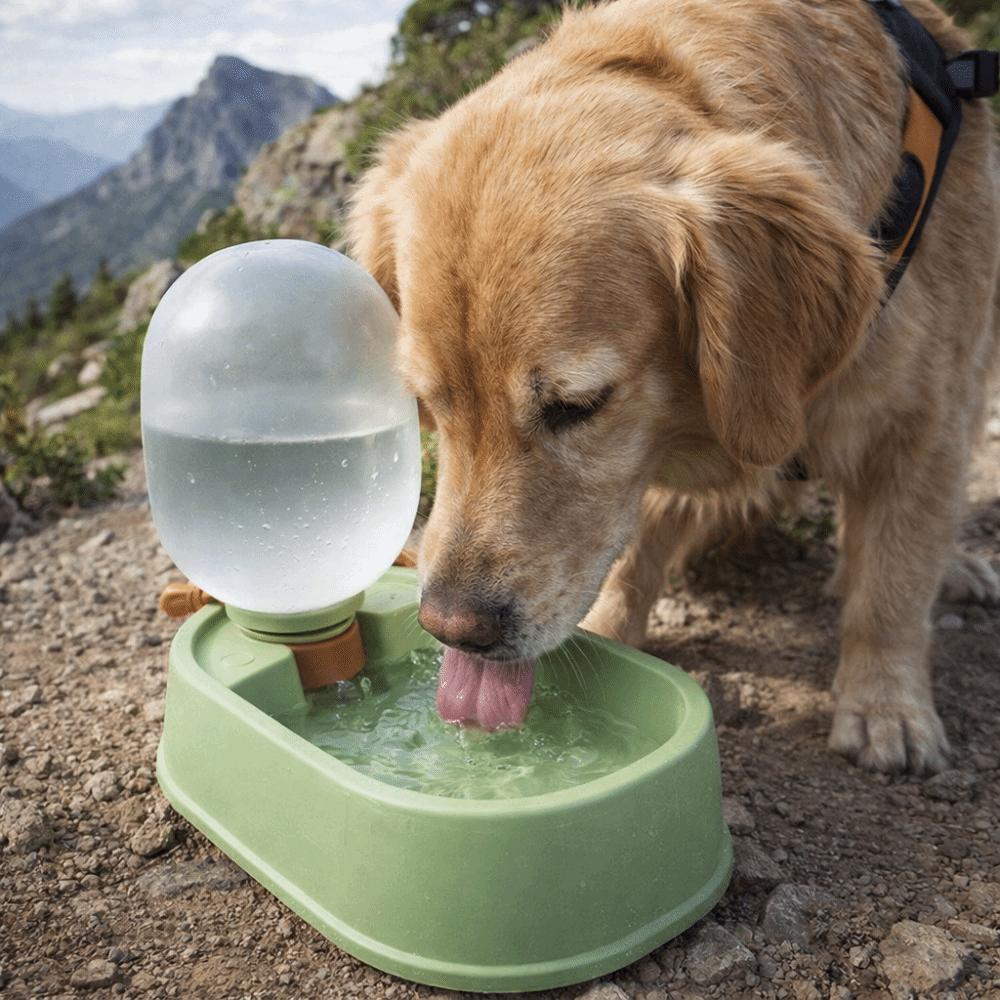 Large Capacity Portable Dog Water Cup Foldable Pet Drinking Bowl Pet Water Pot  Pet Outing
