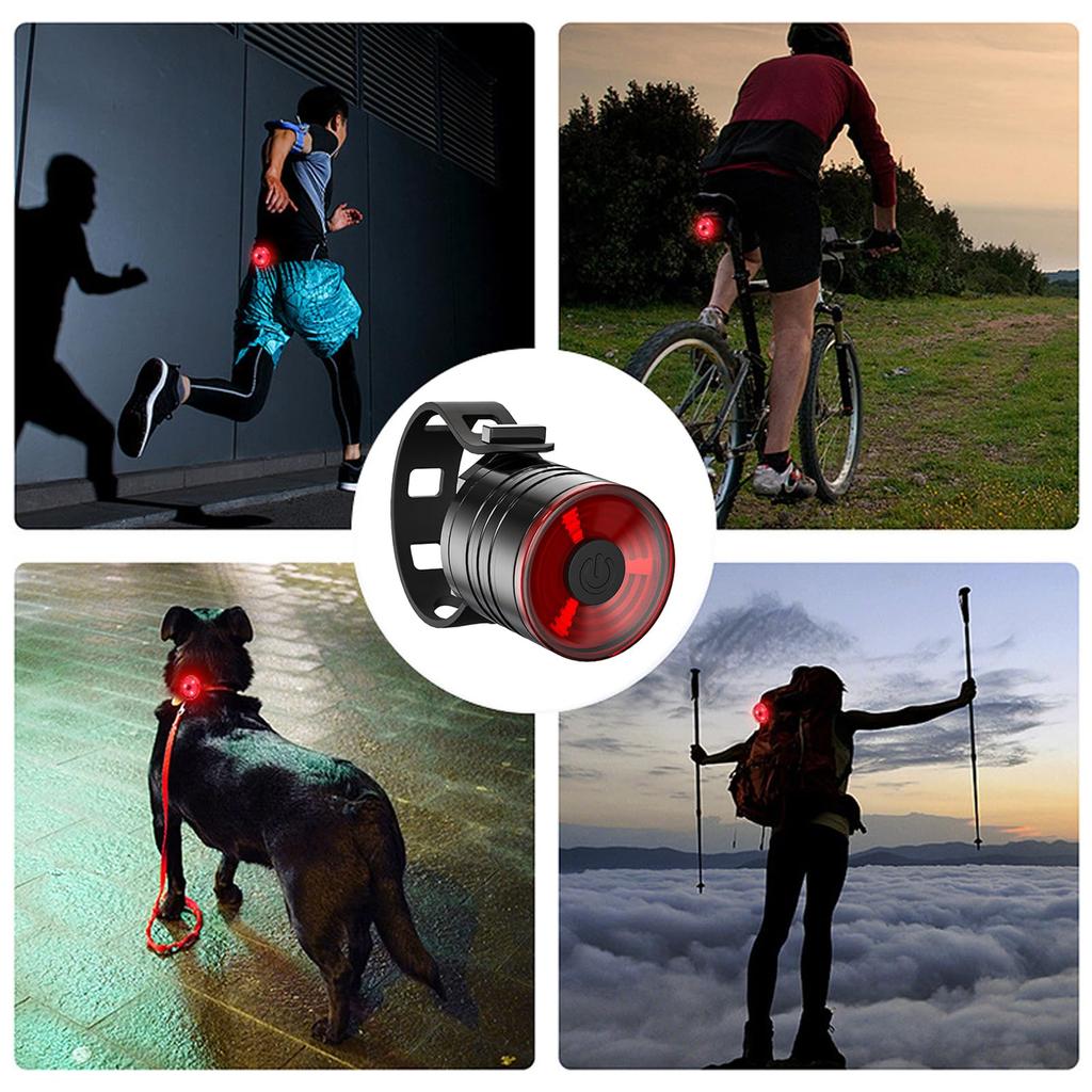 Bicycle Tail Light LED Bicycle Light Battery Operated High Brightness